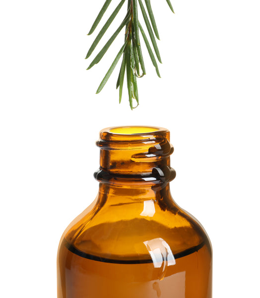 Tea Tree Foaming Hand Wash - 10oz.